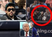 Wild Moment: Bad Bunny Catches a Ball at Yankees Game