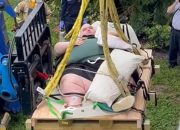 Crane Saves 600-Pound Man from Florida Apartment on Shipping Pallet