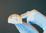 Glow-ups Banned: North Korea Prohibits Breast Implants and Cosmetic Surgery