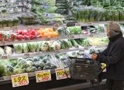 Over Half of Japanese Scholarship Recipients Struggled to Afford Food