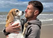 Heartbreaking Search for Lost Dog Halo in Mexico