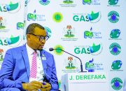Nigeria Achieves Record 7BCF/day Gas Output, Pioneering Energy Transition