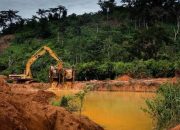 Illegal Mining: Stopping a $9 Billion Annual Loss