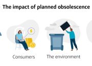 Accountants Must Evolve or Face Obsolescence – MTN