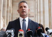 Brume Admits US Firearm Guilt