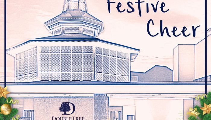 Masvingo Music Fiesta Ignites Festive Cheer
