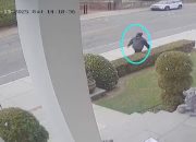 Mass Shooting Update: Person of Interest Identified