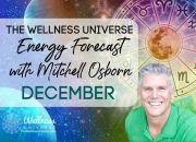 Cancer: December 14 Wellness Forecast